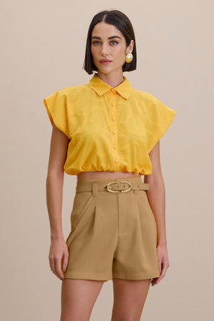 Amarelo Solar