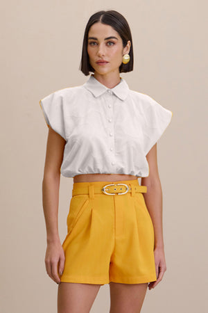 Amarelo Solar