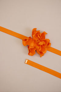 425355LARANJAVIUNICO