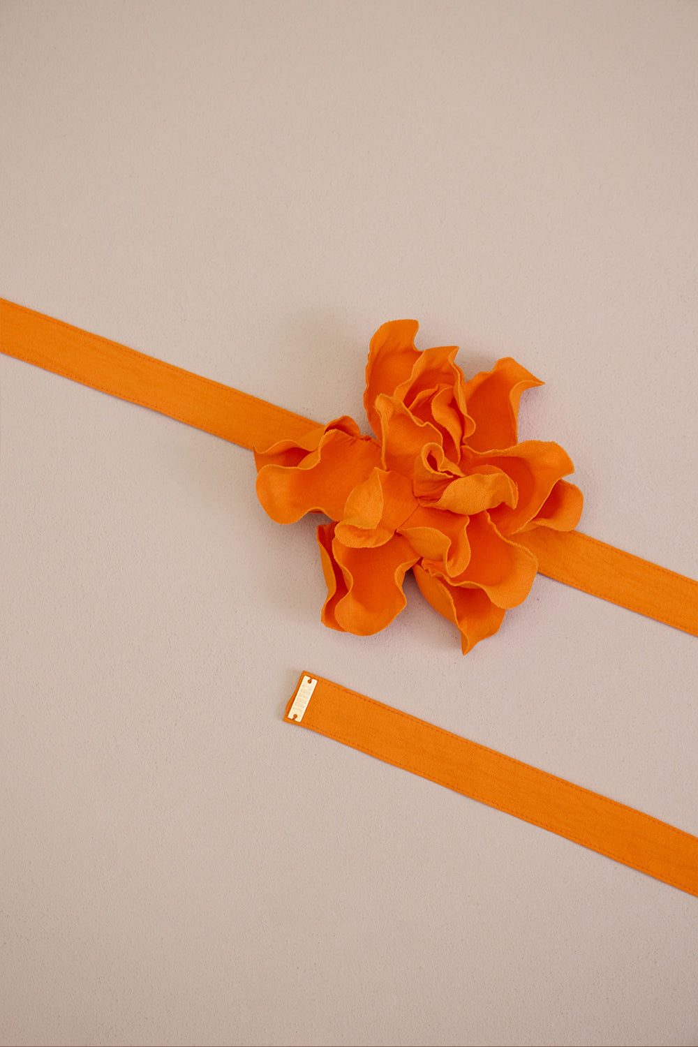 425355LARANJAVIUNICO